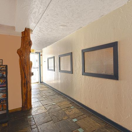 Oyo Hotel Houston, Tx Near Medical Center Nrg Stadium エクステリア 写真